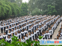 四川樂山牛華中學(xué)2025年招生計(jì)劃