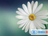 2020年曲靖中考成績(jī)什么時(shí)候公布