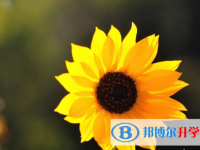 2020年曲靖中考成績(jī)出來了嗎