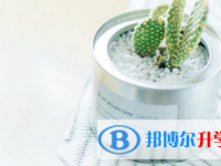 2021年宜賓網上查詢中考成績