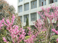 峨眉山市第二中學(xué)2023年招生錄取分?jǐn)?shù)線