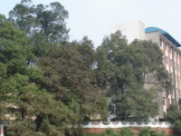 四川省樂山市草堂高級(jí)中學(xué)2023年招生錄取分?jǐn)?shù)線