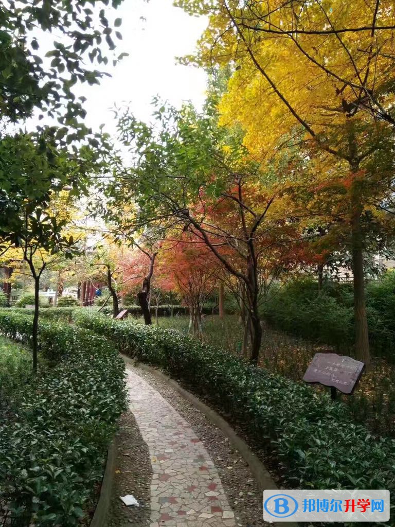 廣元市寶輪中學(xué)怎么樣、好不好