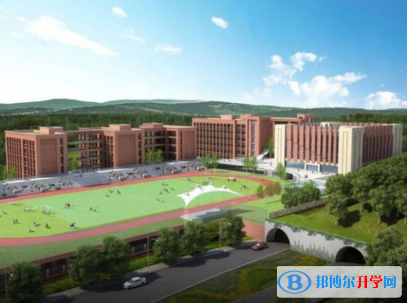 重慶市禮嘉中學校2021年招生錄取分數線