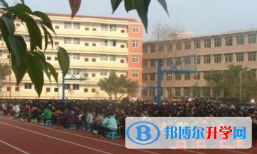 重慶市大足中學(xué)網(wǎng)站網(wǎng)址