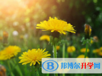 內(nèi)江2022年中考重點(diǎn)線預(yù)測