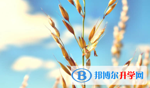 南充2022年中考報(bào)名系統(tǒng)網(wǎng)址