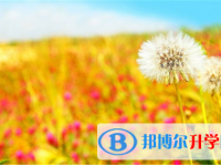 宜賓2022年中考錄取報(bào)名網(wǎng)