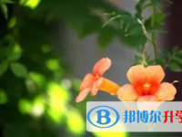 達(dá)州2022年中考報(bào)名網(wǎng)站登錄