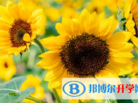 達(dá)州2022年中考報(bào)名網(wǎng)址