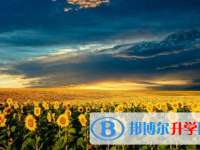 達(dá)州2022年中考網(wǎng)絡(luò)應(yīng)用服務(wù)平臺(tái)登錄