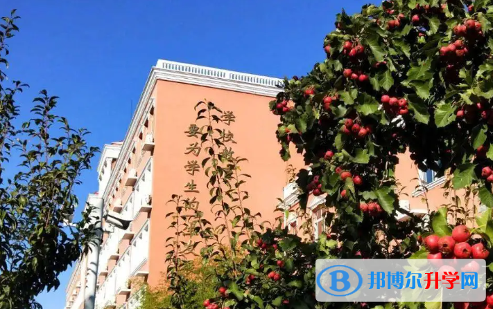 北京大興區第一中學2023年網站網址