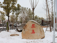 合肥第七中學(xué)2025年排名