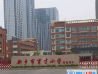 新鄉(xiāng)市育才高中、美術高級中學錄取分數(shù)線(2023年參考)