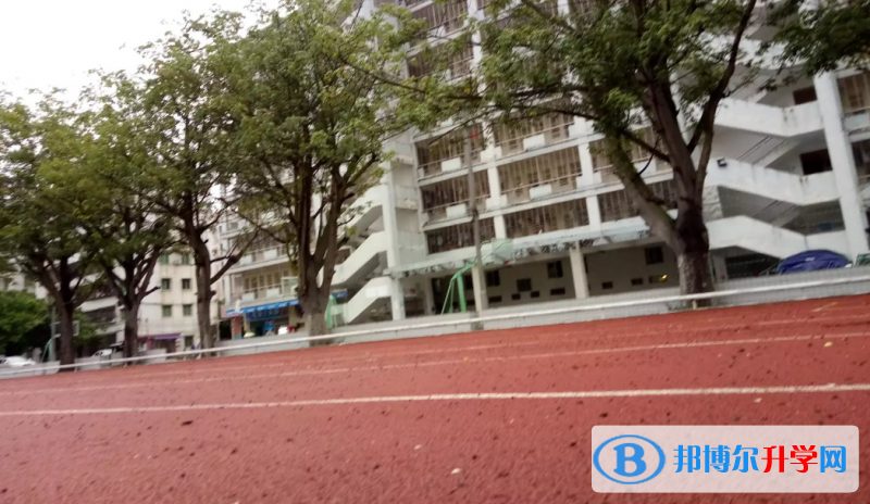 2023電白縣電海中學招生計劃 招生人數(shù)是多少(附要求、條件、對象)