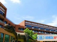 自貢市大安區(qū)嘉祥外國語學(xué)校怎么樣、好不好