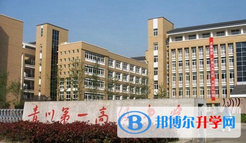 2025四川省青川第一高級(jí)中學(xué)多少錢(學(xué)費(fèi)明細(xì))    