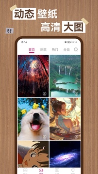 九博體育官網首頁截圖